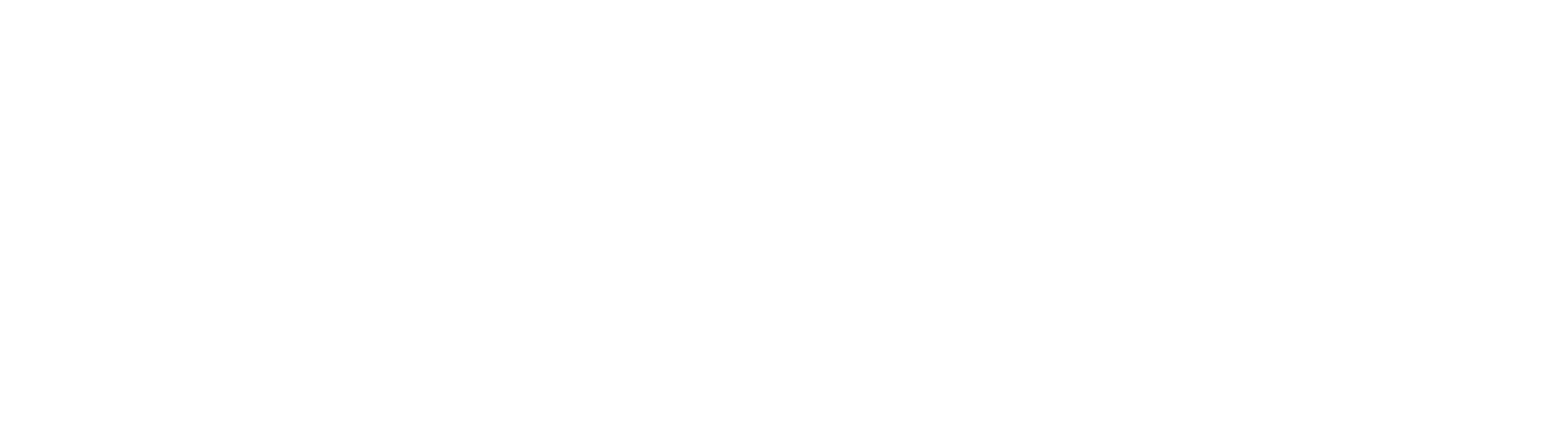 DirectSoft Logo